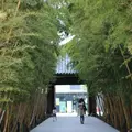 梅窓院の写真_126504