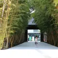 梅窓院の写真_126542