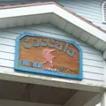 川平湾の写真_126599
