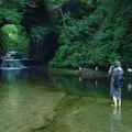 濃溝の滝の写真_126853