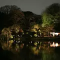 六義園の写真_126871