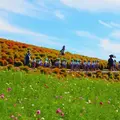 国営ひたち海浜公園の写真_127036