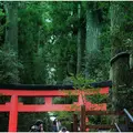 箱根神社の写真_127246