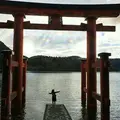 箱根神社の写真_127247
