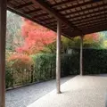 光悦寺の写真_12725