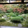 源光庵の写真_12738