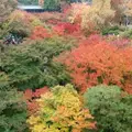 東福寺の写真_12744
