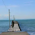 森羅の写真_127528