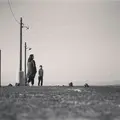 森羅の写真_127529