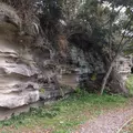 衣張山の写真_127732