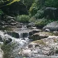 白鳥庭園の写真_128856