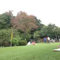 等々力渓谷の写真_12914
