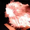 美濃和紙あかりアート展の写真_13003