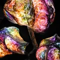 美濃和紙あかりアート展の写真_13005