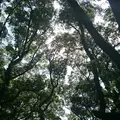 熱田神宮の写真_130180