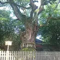熱田神宮の写真_130181
