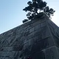 皇居東御苑の写真_13069
