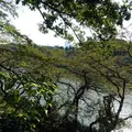 北の丸公園の写真_13071