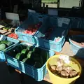 水郷のさとまるやまの写真_13081