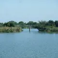 びわ湖よし笛ロードの写真_13085