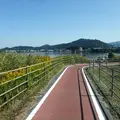 びわ湖よし笛ロードの写真_13087