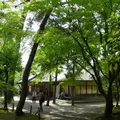 名古屋城の写真_13194
