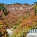 白山スーパー林道の写真_13265