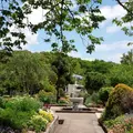 西宮市北山緑化植物園の写真_133519