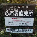 震生湖の写真_13356