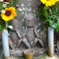 宿根木の写真_13381