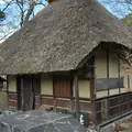 大出公園の写真_134040