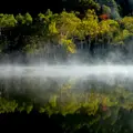 木戸池の写真_134074