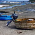 佐渡いろいろの写真_13415