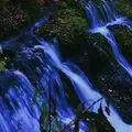 白糸の滝の写真_134175