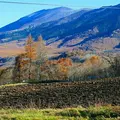 白糸の滝の写真_134179
