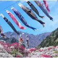 月川温泉の花桃の写真_134323