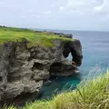 備瀬のフクギ並木の写真_134558