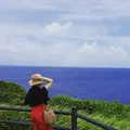 備瀬のフクギ並木の写真_134559