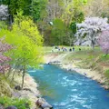 大出公園の写真_136252