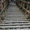祖谷のかずら橋の写真_13742