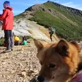 赤岩の頭の写真_13761