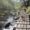 北沢の写真_13768