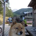 赤岳鉱泉の写真_13840