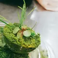 レストランエールの写真_138495