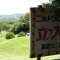 大平山の写真_13932