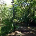 箱根園の写真_13960