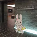 白根記念渋谷区郷土博物館・文学館の写真_139642