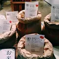 近江町市場の写真_13965