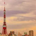 御曹司 松六家の写真_140164