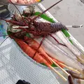 カメハメハ大王の渚の写真_14058